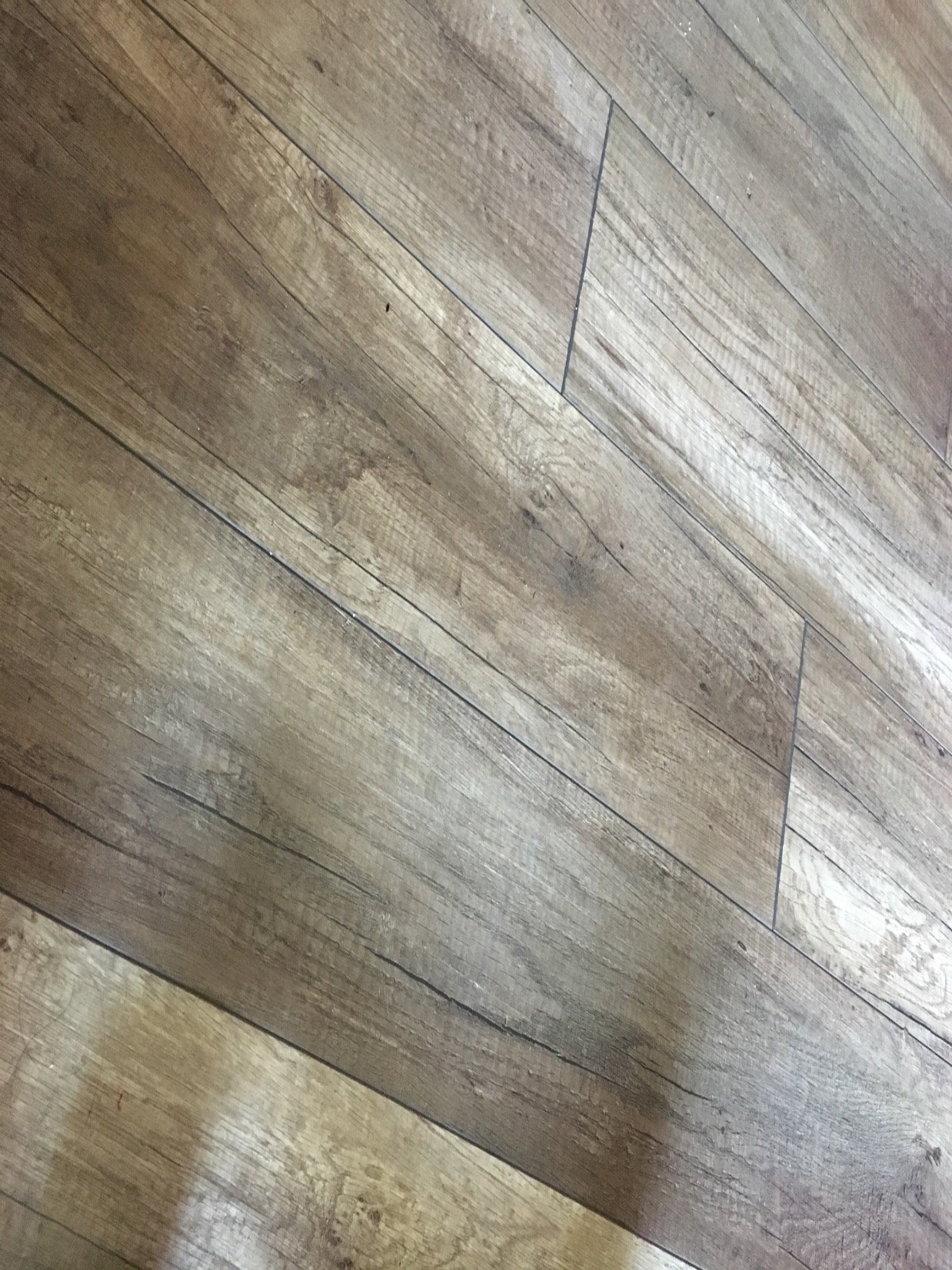 pattytisc's profile picture. 