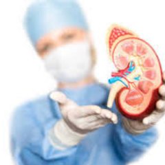 BODY ORGANS IS VERY ESSENTIAL FOR LIFE IF I DONATE IT BECOME IMMORTAL
EVERY CAN EASILY DONATE MONEY AND OTHER PHYSICAL THINGS BUT VERY FEW PERSON HIMSELF DONOR