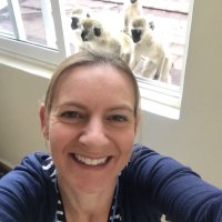 Noelle Kumpel (@noellekumpel) 's Twitter Profile Photo Noelle Kumpel (@noellekumpel) 's Twitter Profile Photo