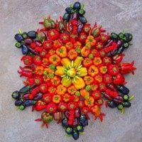 ChefSarath (@food1thought) 's Twitter Profile