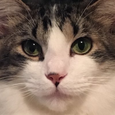 bobzien351's profile picture. Artist & fan of equal rights for all. Retweets=pay attention! Not endorsements.