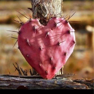 DLC123Laura's profile picture. Proud Mother 5