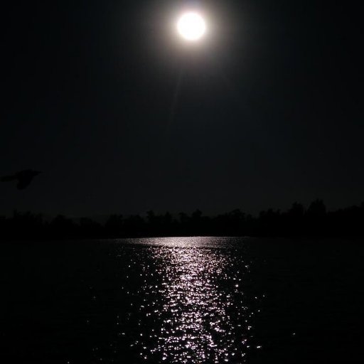 yoseef0011's profile picture. 