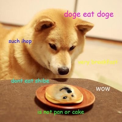 Am doggo am want 2 be frens wit peeps and like marvel,star wars movies and play video games I RLY LUV MEMES AND BEPIS