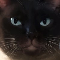 OD620 (@od620) 's Twitter Profile Photo OD620 (@od620) 's Twitter Profile Photo