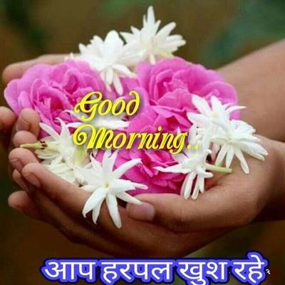 MDSadda11613878's profile picture. 9137336425