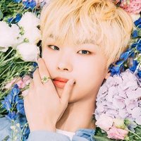 Spring Moment✨ (@010226com) 's Twitter Profile
