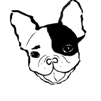 The Little Frenchie (@zlittlefrenchie) 's Twitter Profile