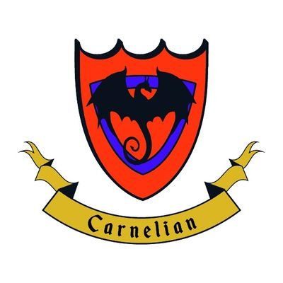 wife, mom of 4 boys, loves God, family and coffee, Principal Secretary at Stone Creek Elementary, proud to be a Carnelian. 🧡🐉#wsdlearns