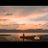 zifah05's profile image
