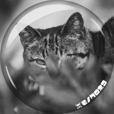 モノクロネコ 【 猫景 】さんのプロフィール画像