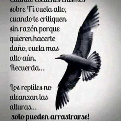 Somos un país corrompido de arriba abajó y transversalmente.Una nación indolente e indiferente,tenemos un olvido crónico. Con una generosidad mal entendida..!!