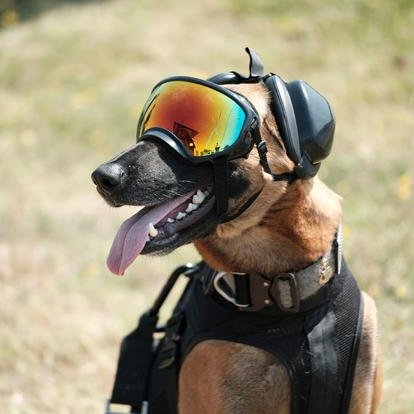 VettedT's profile picture. Vetted Troops is THE only agency in the United States connecting our #Troops to #Jobs in the #DigitalMarketing sector.  #careers #militaryjobs