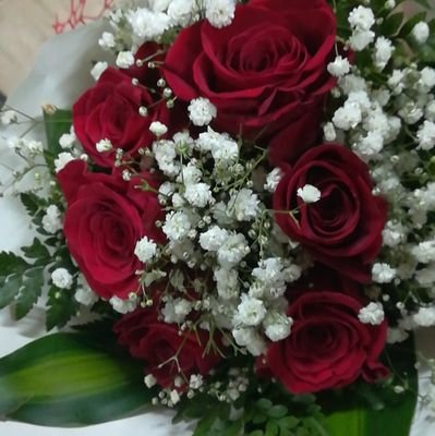 Laila68286792's profile picture. 