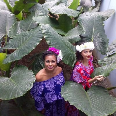 Haus Of Koila Maramadina Twitter