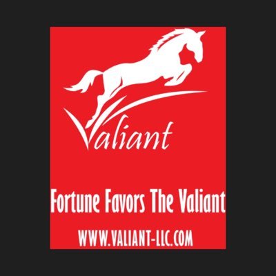 valiant_llc's profile picture. Valiant.llc is a small family business and sell products on Amazon. Take a moment & check us out on Amazon. Follow back and RT me since you are already here 😜