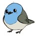 Bluekomadori (@bluekomadori) Twitter profile photo Bluekomadori (@bluekomadori) Twitter profile photo
