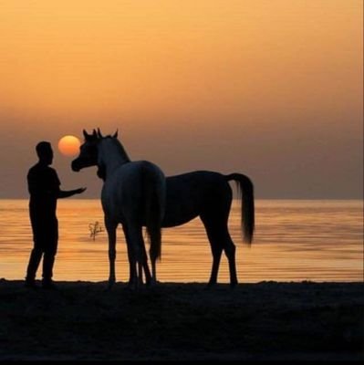 والله والله لو تطلبين عيوني يايـمـه لـ أقول إن العمى خــيره - ❤️المدينه 🌾💚الأهلي
