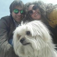 massimo(@MDuraccini) 's Twitter Profile Photo