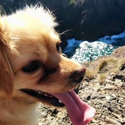 KyshaKilroy's profile picture. Hogwarts wasn't hiring, so... I teach English instead! 💫🌈