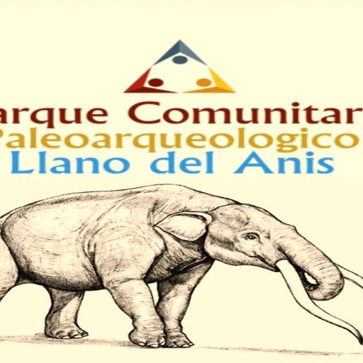 ¡BIENVENIDOS! SITIO WEB OFICIAL DEL PARQUE COMUNITARIO PALEO-ARQUEOLÓGICO LLANO EL ANÍS.
NUESTRO PASADO, EN UN PARQUE....
ÚNICO HALLAZGO DE LA CORDILLERA ANDINA