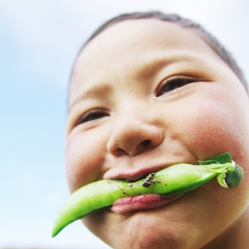 feeling_walking's profile picture. 身近な出来事をシェアして共に考察できたらハッピー