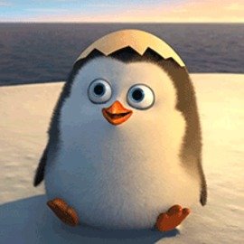 SengheeC's profile picture. 