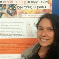 Dr Rachele S Wilson (@beescapes_au) 's Twitter Profile