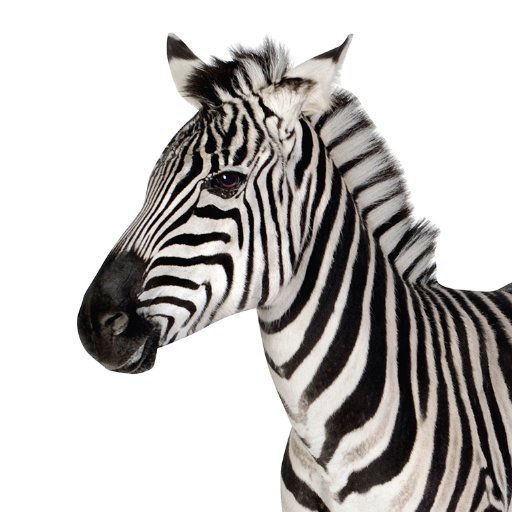 espandrews's profile picture. locked