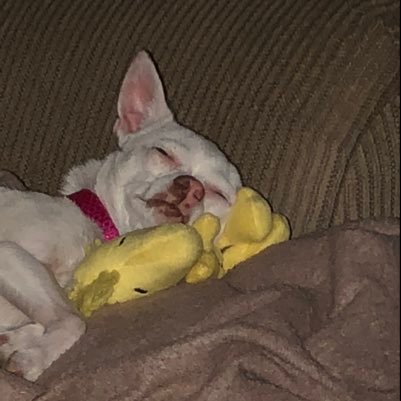 Martha92236588's profile picture. 