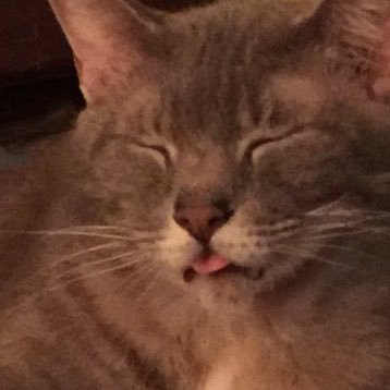 YukonNurse's profile picture. Conservative, Trump Supporter, Retired LPN