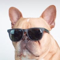 Zoe Sherwood (@zsurewood) 's Twitter Profile Photo Zoe Sherwood (@zsurewood) 's Twitter Profile Photo