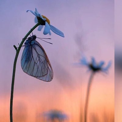 yam25599473's profile picture. استمتع بحياتك