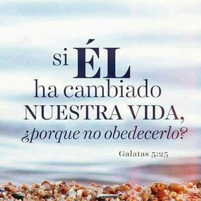 con mi voz clamé a Jehová, y él me respondió desde su monte santo. salmos: 3:4 🙌 🙏👌