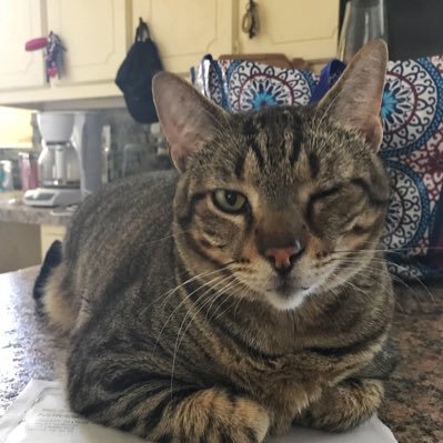 JustGiveMeCoffe's profile picture. ~Professional Fangirl || Coffee Addict ||Aesthetician || Funeral Director’s Assistant || Adventure Enthusiast || Future Corpse || End the Backlog~