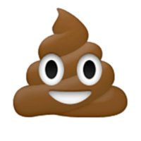 💩💩💩💩💩💩💩💩💩💩💩💩💩💩💩💩💩💩💩💩💩💩💩💩💩(@fuckin_poop) 's Twitter Profile Photo