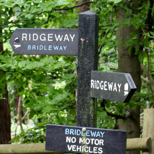 DofeRicky's profile picture. 