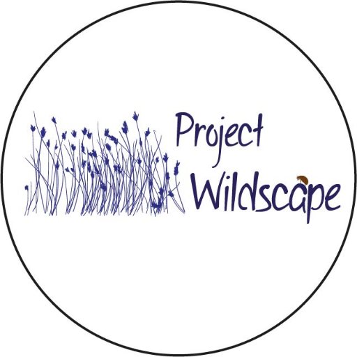 Project 'Wildscape'