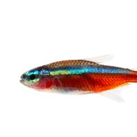 Martin Taylor (@mtaylor_lab) 's Twitter Profile Photo Martin Taylor (@mtaylor_lab) 's Twitter Profile Photo