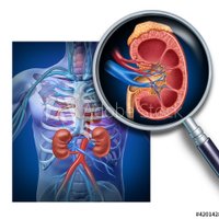 JKidneyDisease (@jkidneydisease) 's Twitter Profile Photo JKidneyDisease (@jkidneydisease) 's Twitter Profile Photo