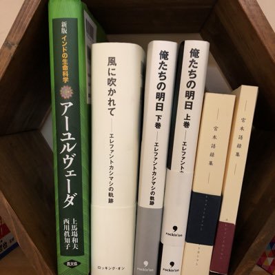 Twitterは主に情報収集目的です