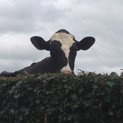GrillaUsability's profile picture. Calling out the poor design of everyday products & services that make life more difficult than it needs to be. #usability #usabilityfail