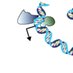 GarberLab (@garberlab) Twitter profile photo GarberLab (@garberlab) Twitter profile photo
