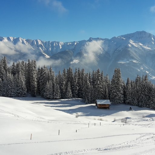 prieder66's profile picture. 