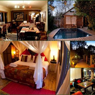 Bamboo Guest House offers affordable 3* Knysna accommodation on the famous Garden Route, minutes from Knysna's centre.