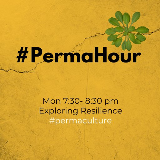 #PermaHour. Every Mon 7:30-8:30pm. A #virtual space to promote everything good about #permaculture, offgrid living & explore #resilience! Tweets by @synergyroxy