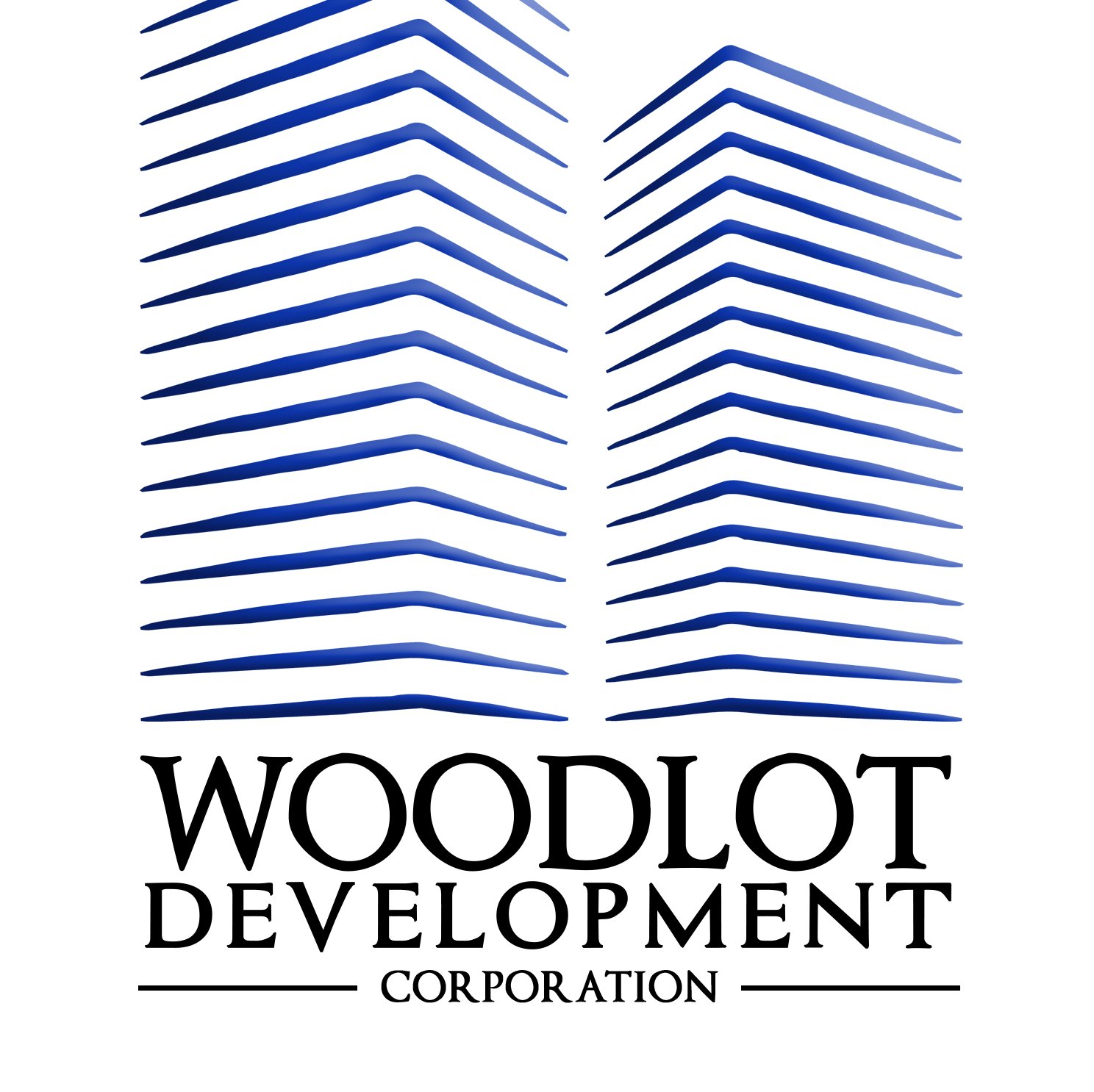 We transform land into lucrative square feet. A single lot to vast acres we have developed into luxury homes, condos, subdivisions and mixed-use properties.