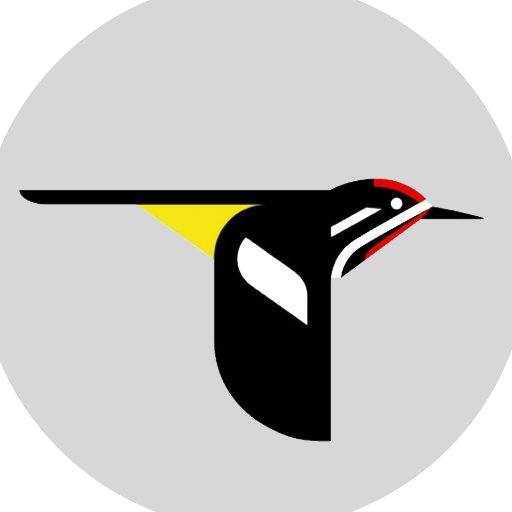 CornellBirdNews Profile Picture