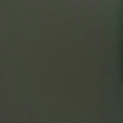 rxndomstan's profile picture. 