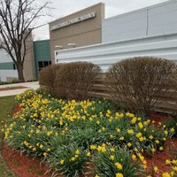 Grande Prairie Library (@gpplillinois) 's Twitter Profile